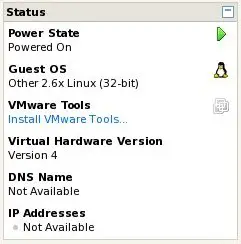 Installing a virtual machine into a VMware Server guest