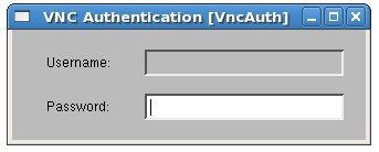 vncviewer asks for a password is one was specified in the Xen domainU configuration file.