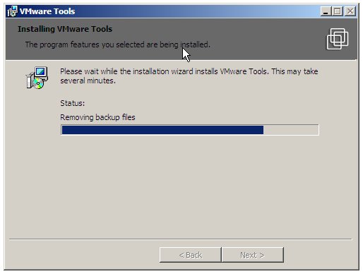 The VMware Tools Windows Installation