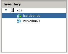 VI Web Access Inventory Panel