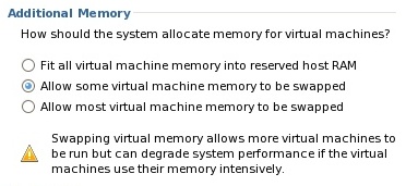 Configurating VMware Server Host Swap Settings