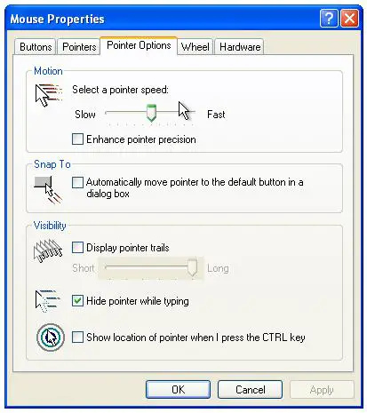 Turning off mouse pointer enhancement in Windows XP to fix Xen VNC problem