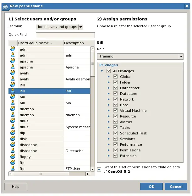 Defining the Role for a new VMware Server permission